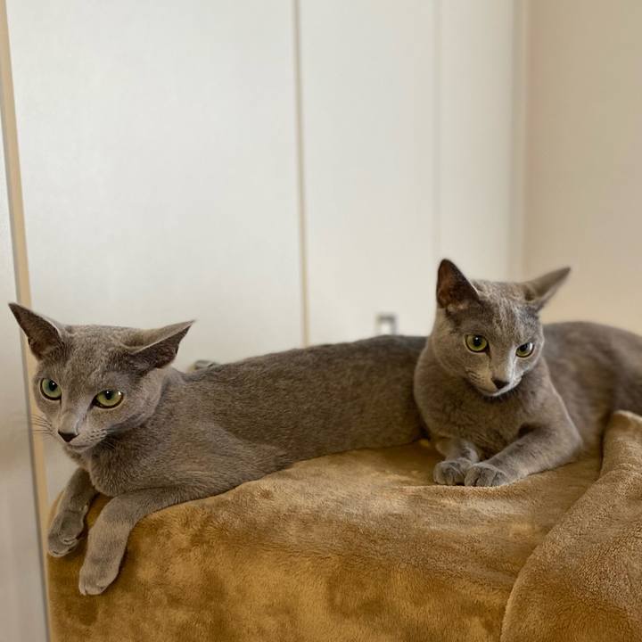 5180d2ee 8240 482b 9f32 347dfb488fc9 1633572678601