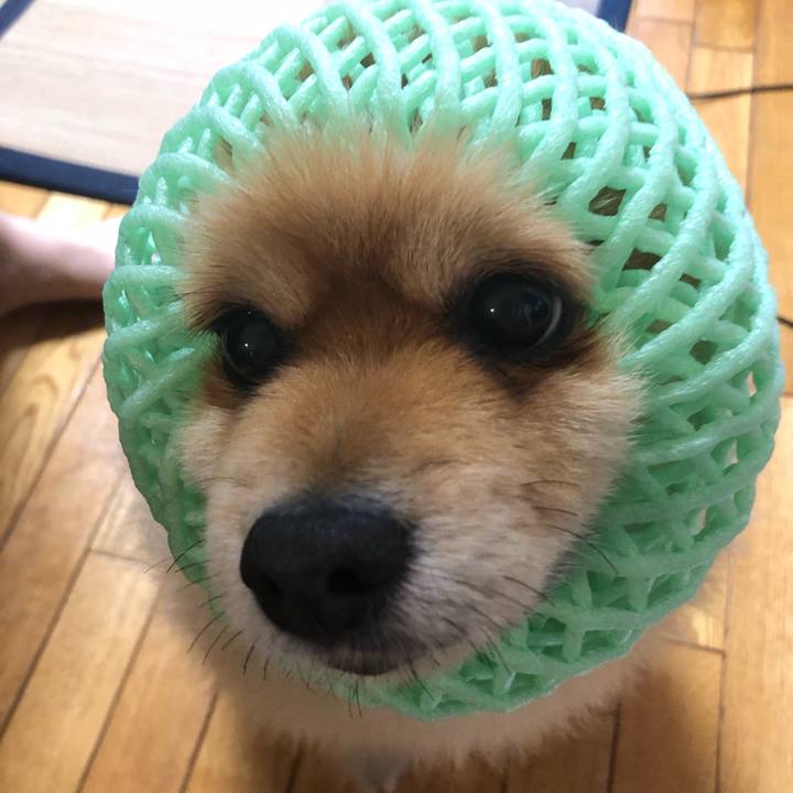 5180fe6d 91ef 4050 852e 2e4a17b42128 1623160529449