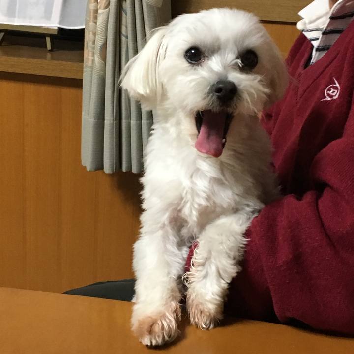 51814dc4 e00d 42a1 8cb1 2784996dcbca 1575978495009