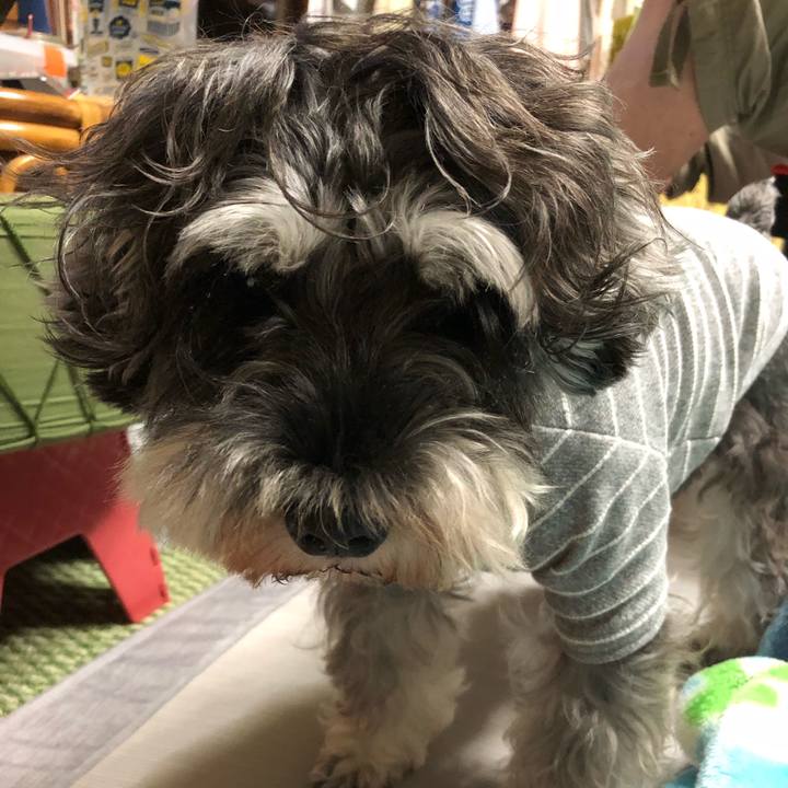 518162b3 35f6 444b 80ce 3050fe0dab0c 1571112121396