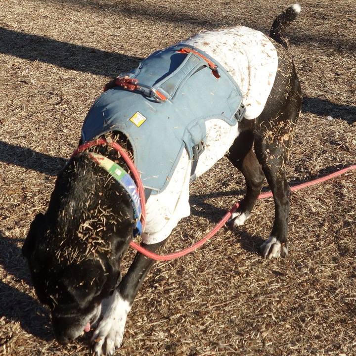 51817883 c6fc 48f5 b6df ae164313e56c 1706319123900