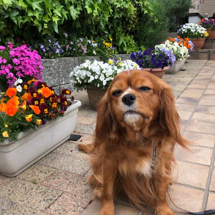 5181a04a 2a19 47b3 8094 80f8fabfe8af 1587901543350