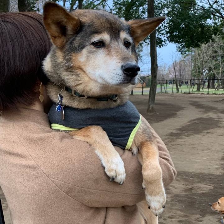 5181a9a6 7480 4e44 a98d 70bfc89bf032 1553339408464