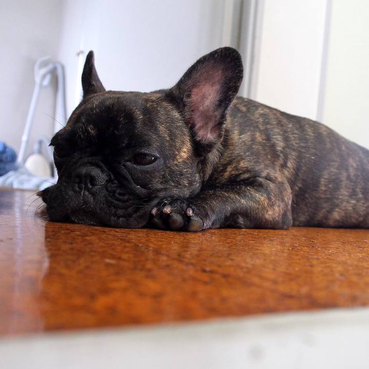 5181da15 fa9d 4990 860f 41e342dd82fd 1511439979392