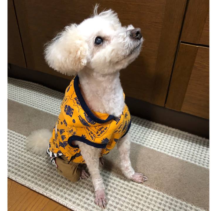 5181f2b6 2da5 48f4 bc56 c9126909e1be 1551326010642