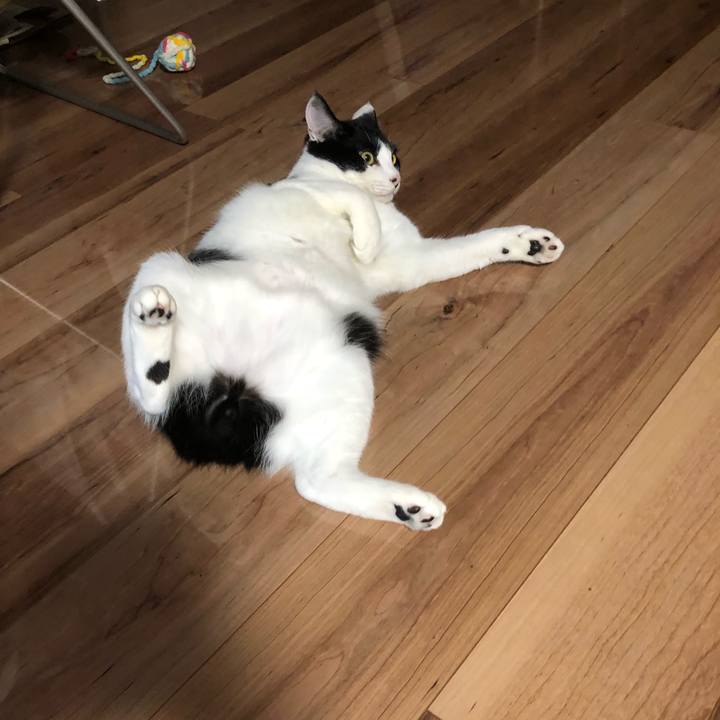 5181fbf6 2266 4344 825b bc29ba67a4eb 1626791957509