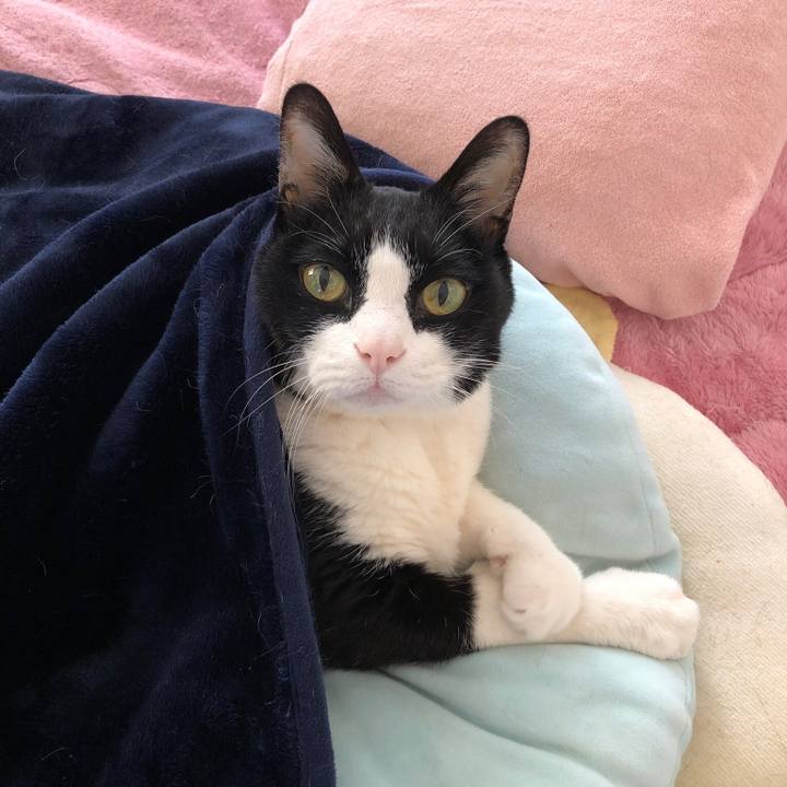 51820320 00b0 4b71 ac28 0a9e86fa889b 1549328877977