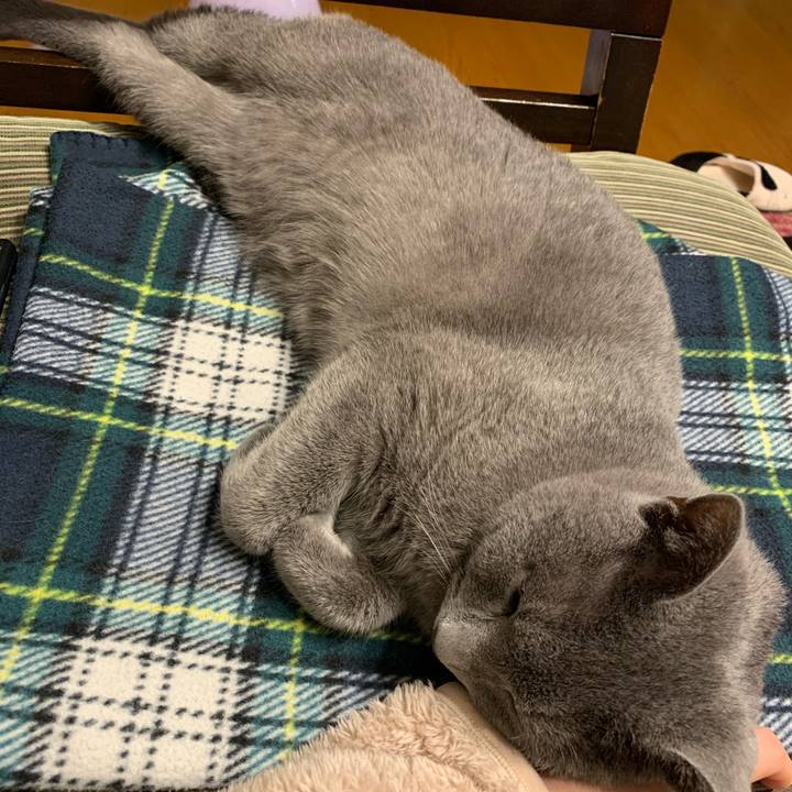 51821dad 3825 4021 b520 c57d3db92344 1582454721297