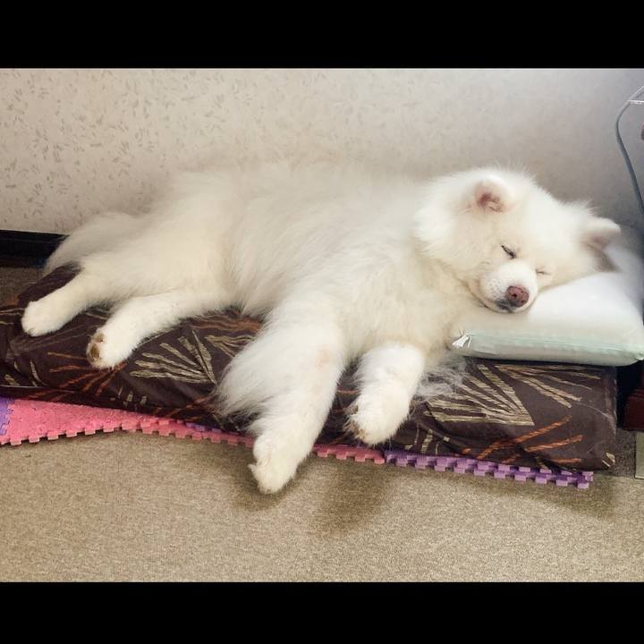 518257a5 2a18 4e6b 9d82 054e79c6459b 1661579636226