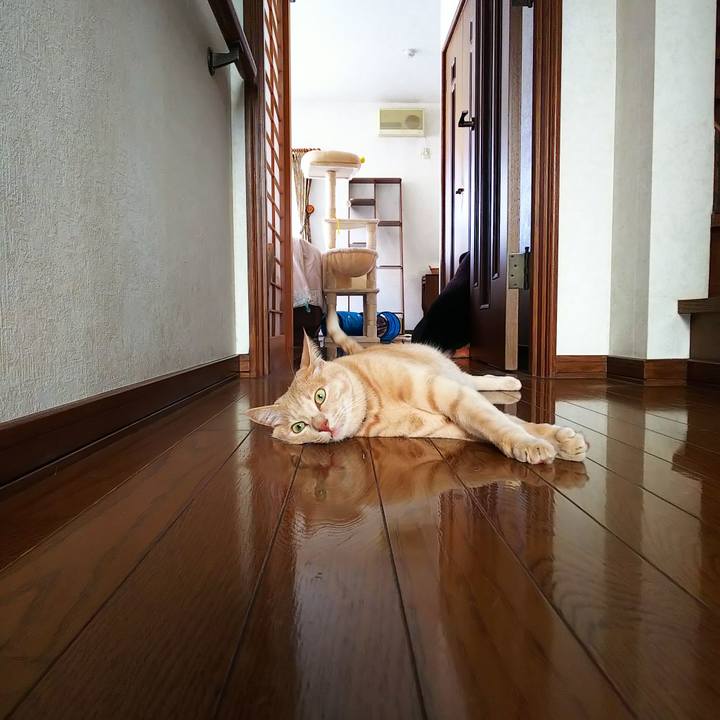 51825dbe 4e07 4548 8772 eed54b1aa06c 1596871146104