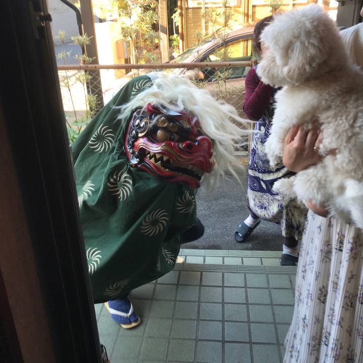 51825dff 13c6 4a0d 8b4d 43d302ad39d6 1546518368885