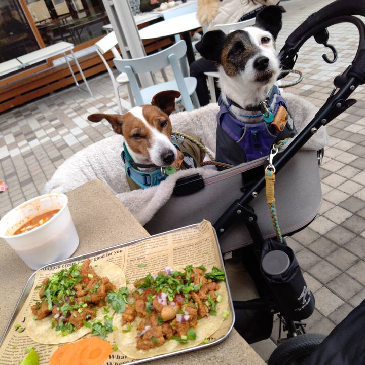 5182a00c 1842 4e0b bad3 296d1c65a0da 1706413137351