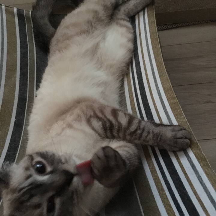 5182a5bc 0301 46c8 808a a9dcf714b736 1593424859951