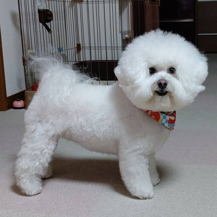 5182d2e9 356b 4a44 8228 eac06c7a1a7f 1640863139679