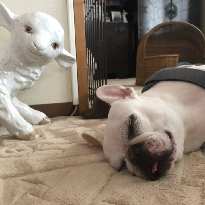 5182e029 f240 481b b343 a9f29312721e 1569643312847