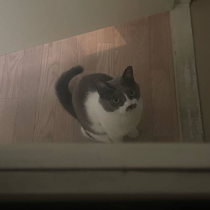 5182fd52 461b 4a2e aec0 ffc2a8d939e4 1704428637687