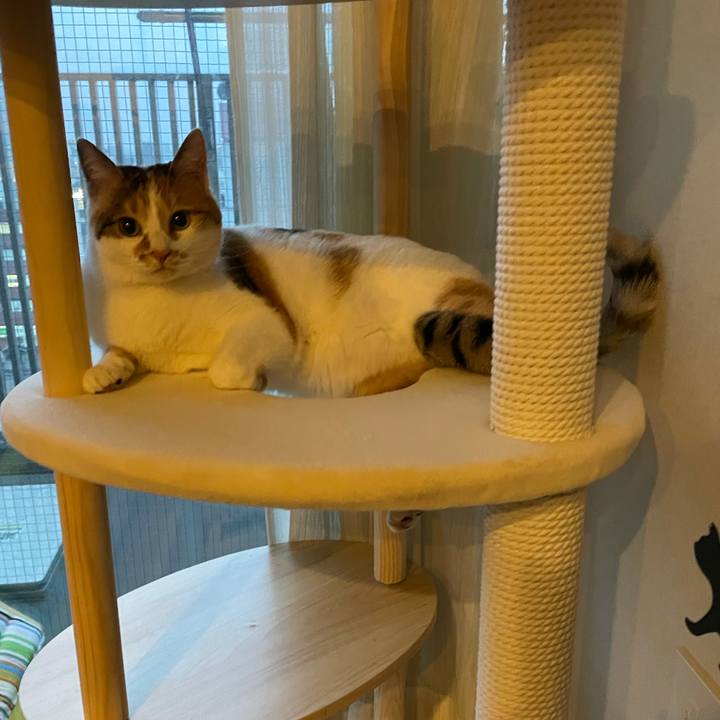 518328c6 c432 47b0 9856 b82d47db8c2d 1611388774781