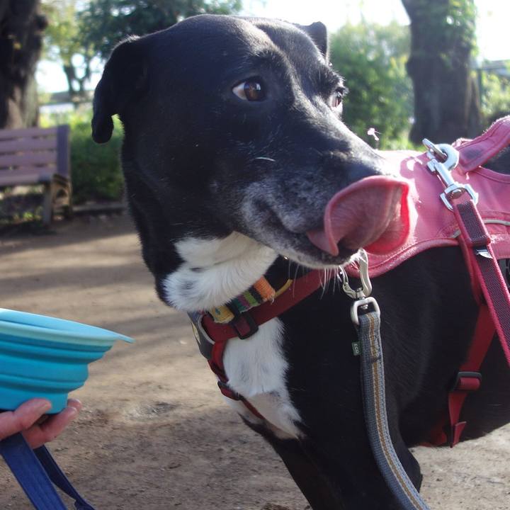 51836b09 175e 46fe a830 84aaf94d6999 1696984769437