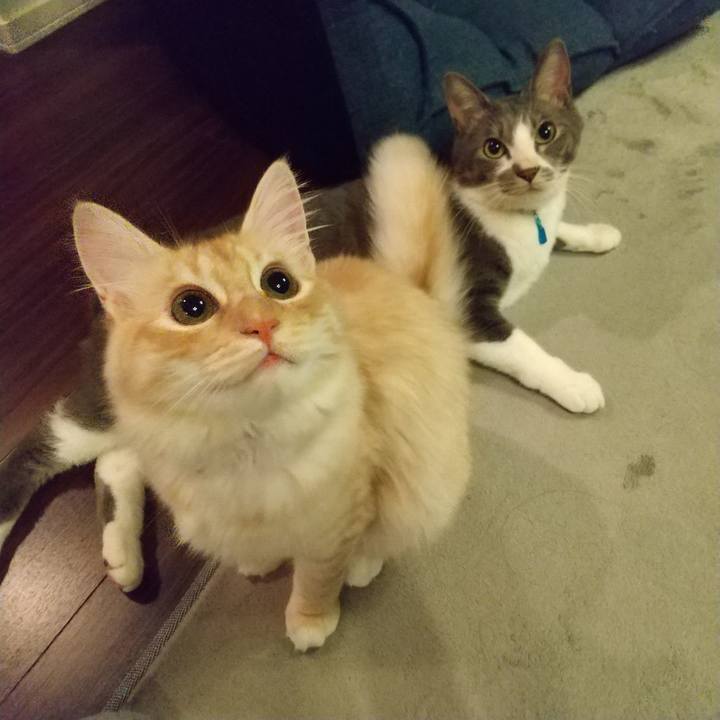 518394d5 02ec 43d7 94f8 225db40ee623 1617454076684