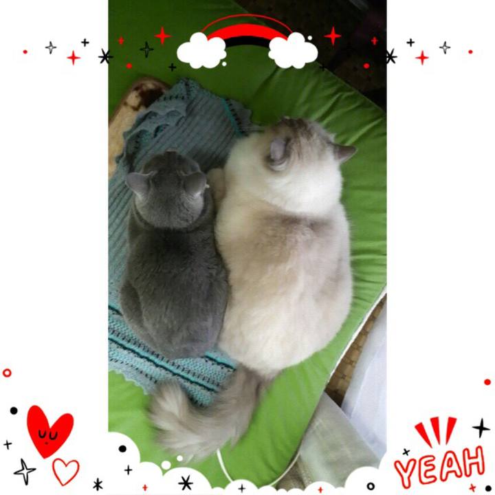 5183a2f1 88de 4761 bebc 5892d12b1917 1519309156181