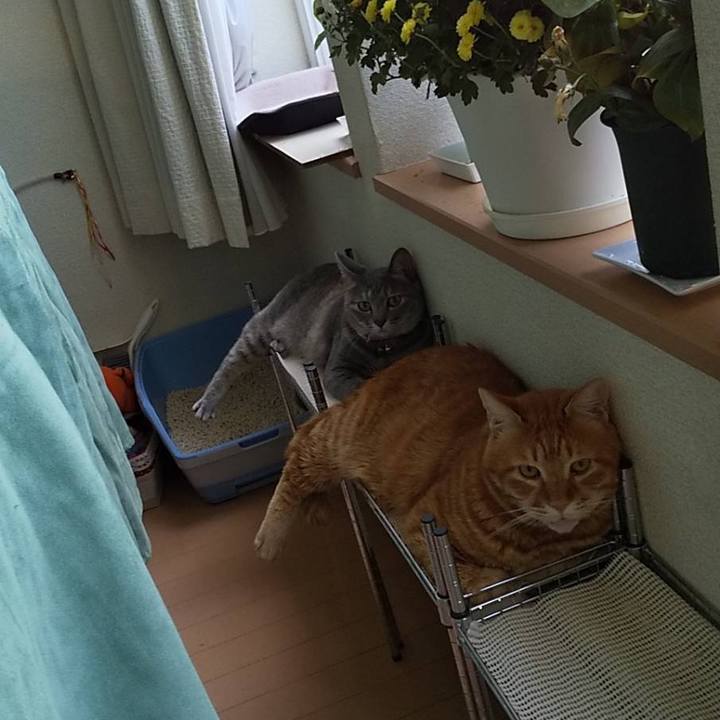 5183cce3 963e 43ed 94ee 68791a1229ef 1637581666705