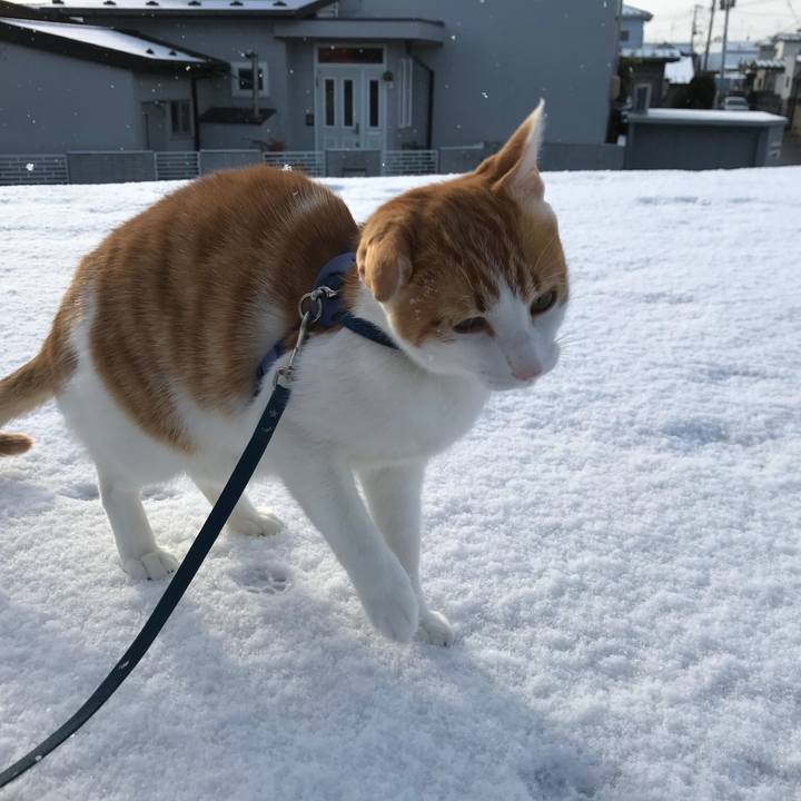 518419b7 9760 4189 9614 59a64311203b 1513123287600