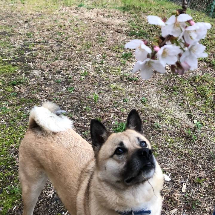 5184758d 2682 4824 b73d c8873bfb82ce 1616232137880