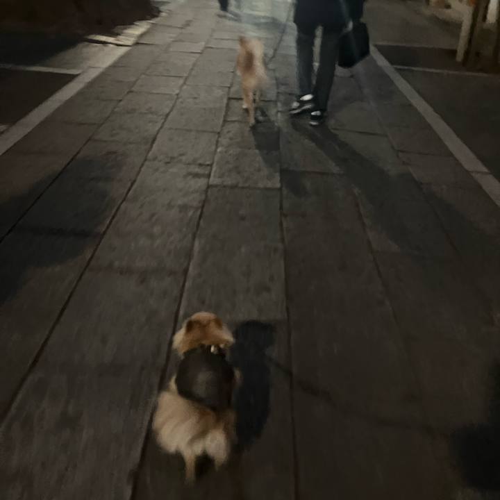 5184f591 47eb 4ae9 bbbc f5e56aee0f72 1770029720546