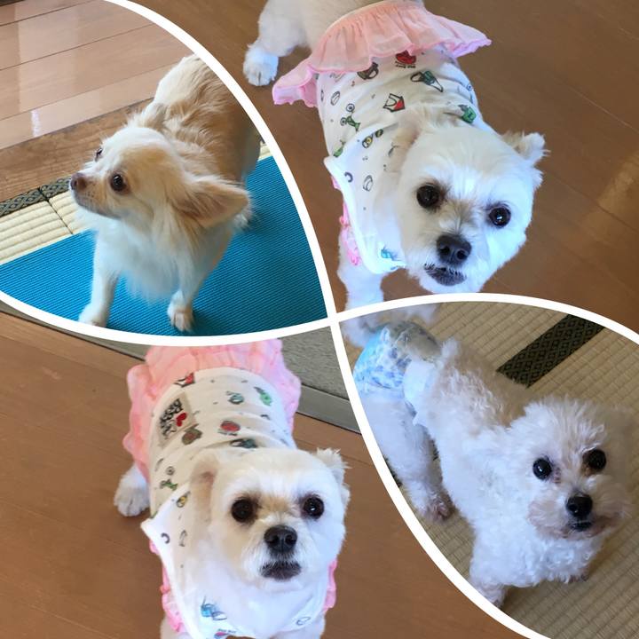 51851159 b6df 4468 9008 3f4db73c60d1 1534484803022