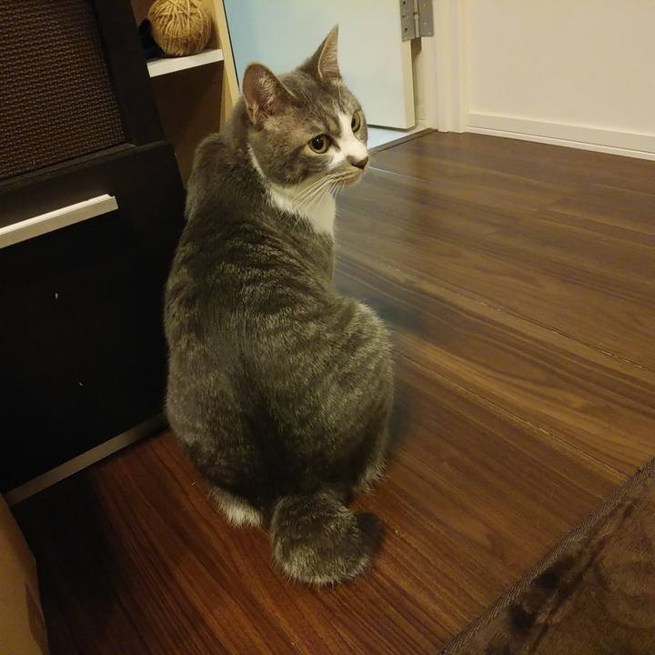 51853e00 ab66 49bb 9c3b e6204298679a 1582383395451