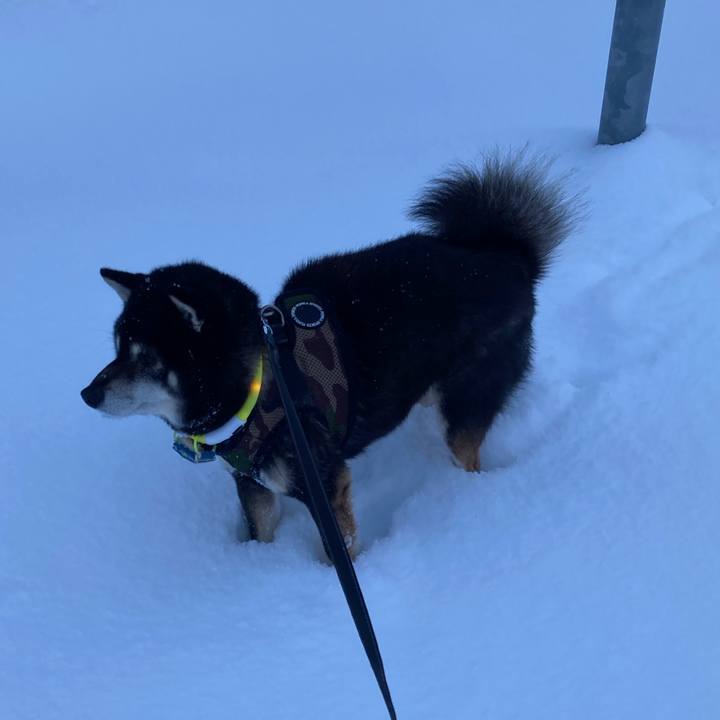 51853eb5 d1b3 400d 9f9f 2d391971d934 1674781045731