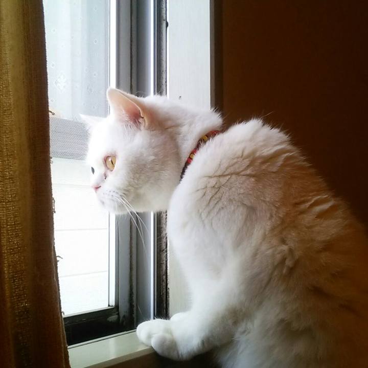 51859c81 7929 4e33 bbd7 0f8cb36012b1 1525563109844