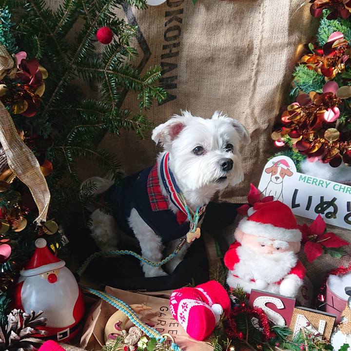 518641d1 9c3a 44e5 8e47 0b28c52bc413 1637487441629