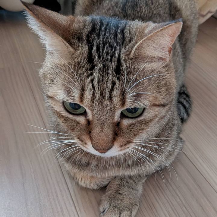 518644de 281d 4d71 a87c 20c8d529cedc 1765750327110