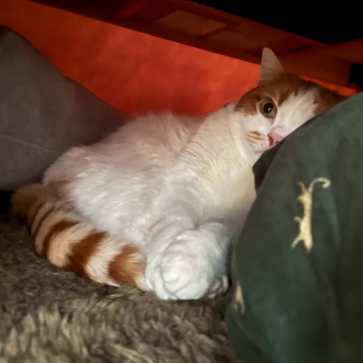 518659ed 975b 4860 8312 3f092ab52d92 1771237653175