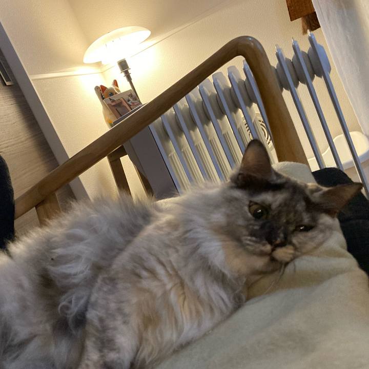 518678d3 fe4e 43a7 8bdf 20af55c86b4c 1766824774937