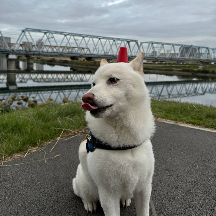 518699f3 89bb 41e7 b94a d86203281868 1729633479593