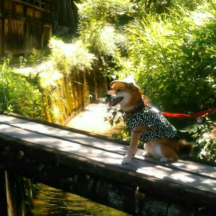 5186e1b6 f131 4656 9acb 86ac772c2e0b 1565268259573