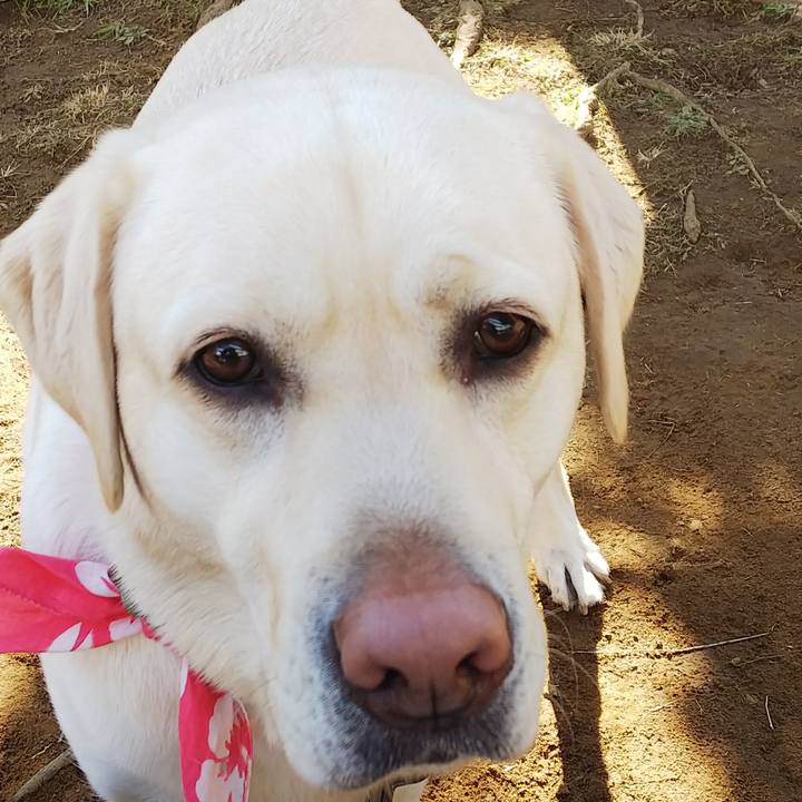 5187013e 9684 46e3 a3e8 695dfd9f1fe6 1550725644433