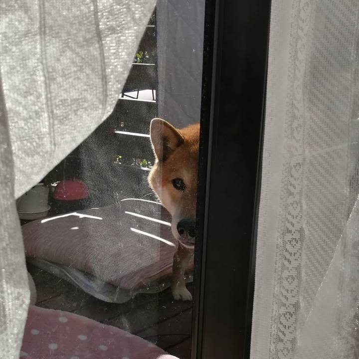 51870f5b 7c26 4232 a0d3 bfa970fc18fa 1613461704151