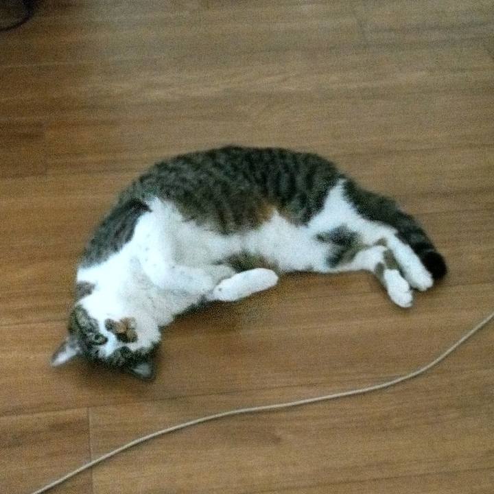 51871777 1dc8 48fa a927 e1047a96b8c5 1759700363860