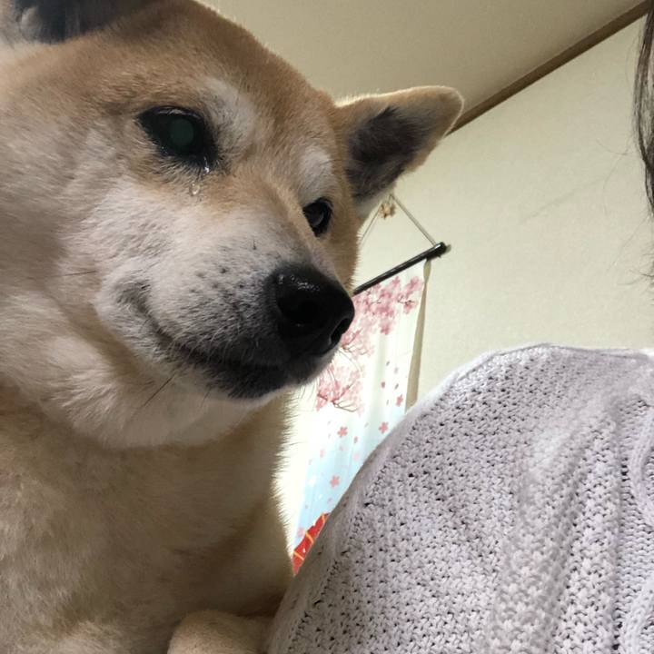 51871ff9 1e6f 4fb6 a4e3 3a52b54cf864 1555207007399