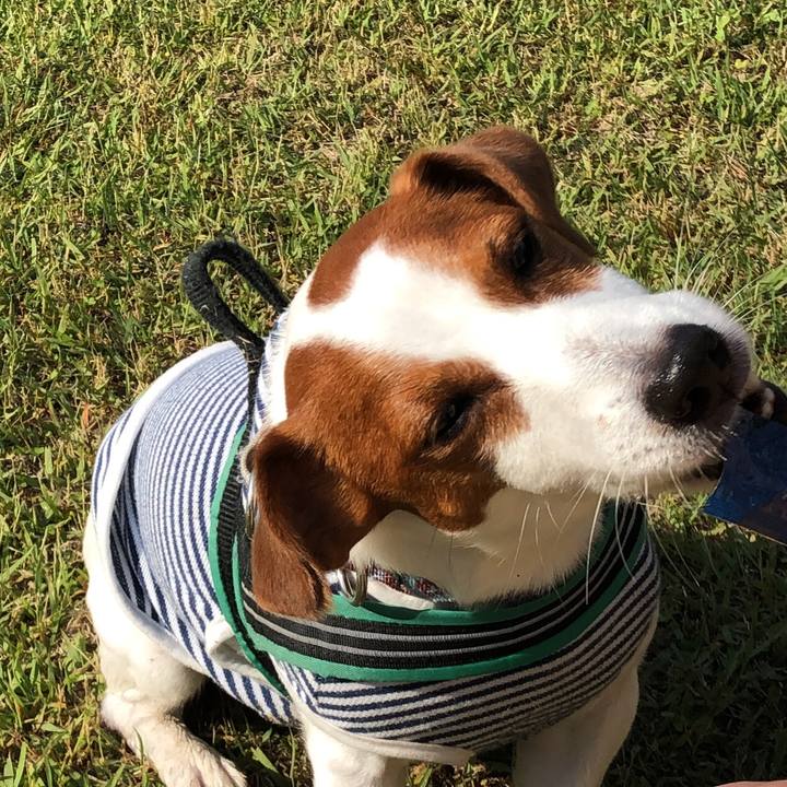 51873452 e4e2 41c4 b54c 2e3ffc142c8e 1591786109121