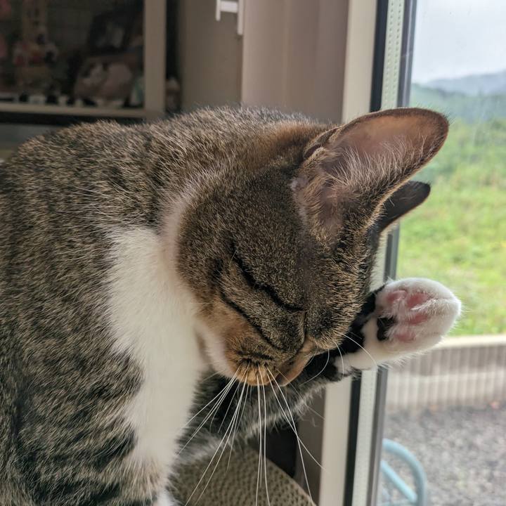 5187d922 719f 4dda 9c2c fc347486fc4c 1685331609757