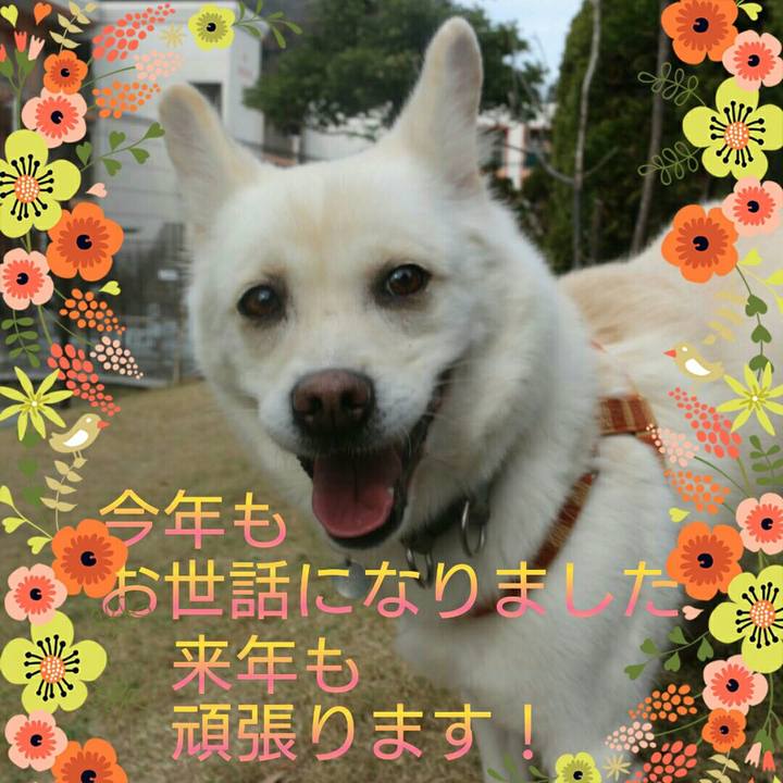 5187e1c8 44d3 49ee afda 2e77c0306bb8 1609369512389