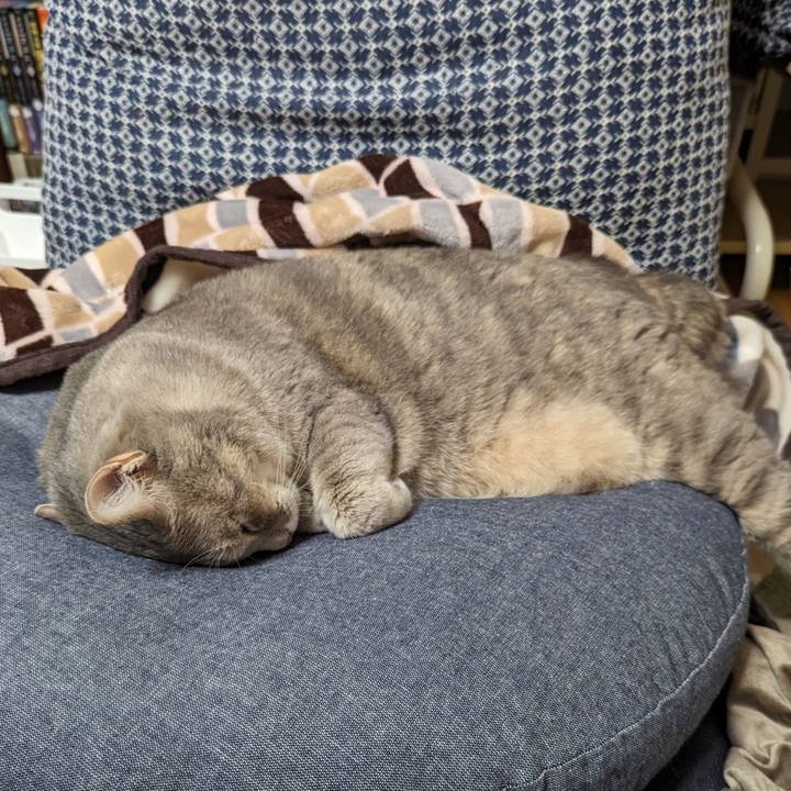 5187ed84 88bb 42e7 8653 dbefdcf469fb 1699242926500