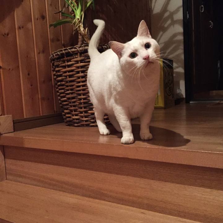 5187f0a9 bc9b 44a8 bbd6 c3650e72bd81 1543998481520