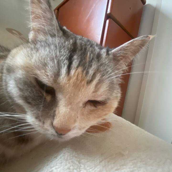 51880ad1 4af9 4b37 b8ab 0c60a802dccb 1685772481647