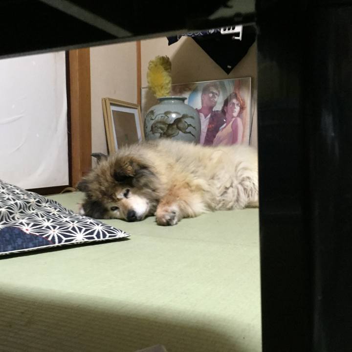 518830b5 82f5 4217 8510 a5e3920254ff 1576889913150