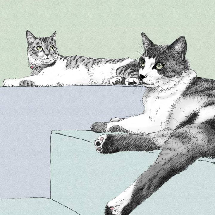 518832c7 113f 4d66 827d 7c3022de9ec3 1571410594390